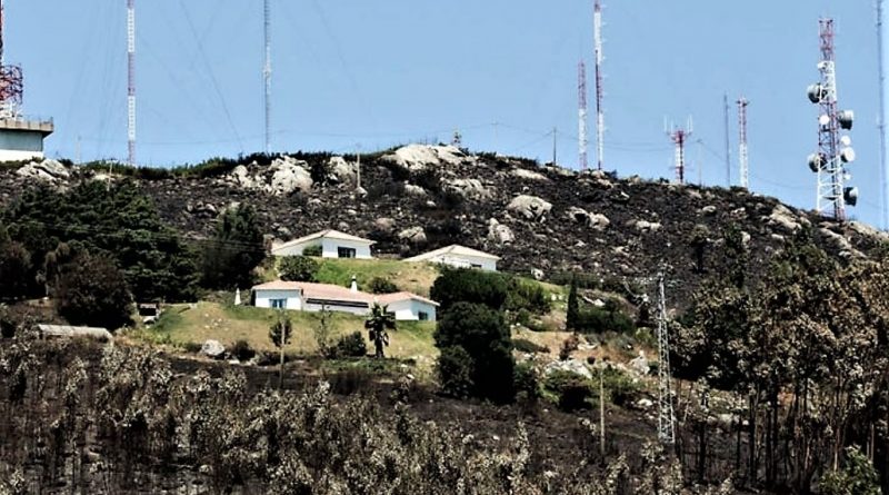 Flammen fraßen sich an höchste Erhebung der Algarve heran: Berg Foia mit Antennen