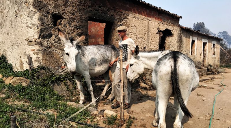Robert Nestmann ist Esel-Flüsterer aus Monchique an der Algarve