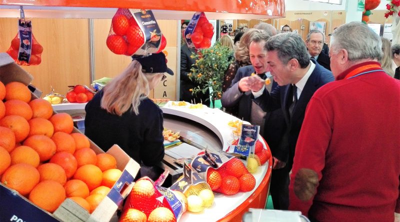 Orangen-Festival in Silves zeizt zum Genießen saftig-süßer Zitrusfrüchte